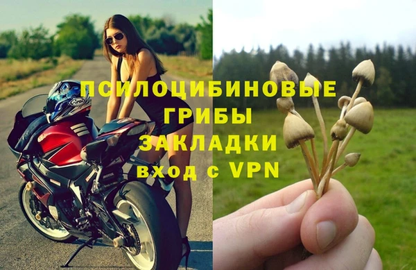 экстази Богородицк
