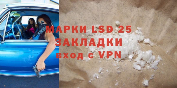 apvp Бородино