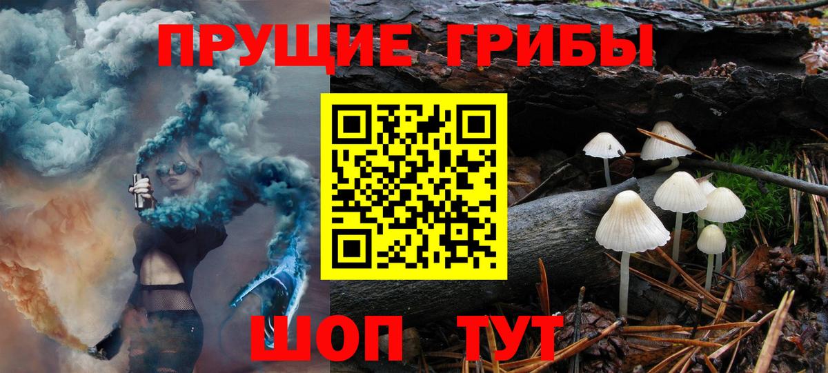 Галлюциногенные грибы MAGIC MUSHROOMS Кстово