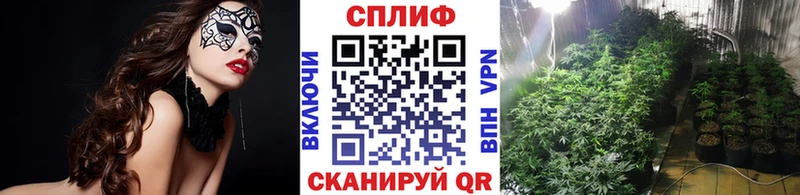 KRAKEN маркетплейс  Кстово  Канабис сатива 